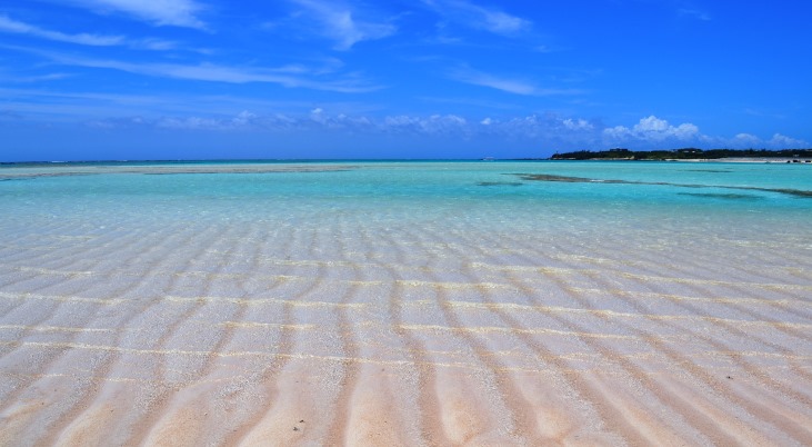 7砂浜の写真