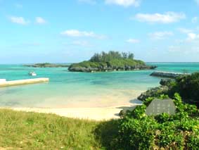 皆田海岸の画像