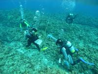 リーフチェック２