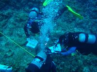 リーフチェック１