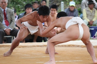 第50回与論町奉納相撲大会