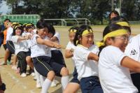 第52回町民体育大会