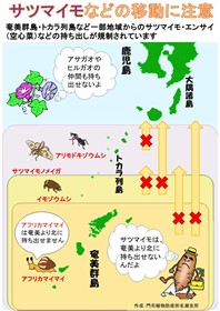 イモ類移動規制範囲