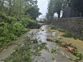 総合グラウンド南側道路倒木等
