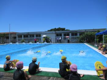 水泳大会の画像